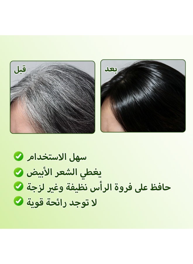 في آي بي شامبو صبغة الشعر في آي بي أبل بلاك 400 مل - Image 3